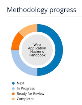 The Methodology progress tracker chart shown in the Project Summary page